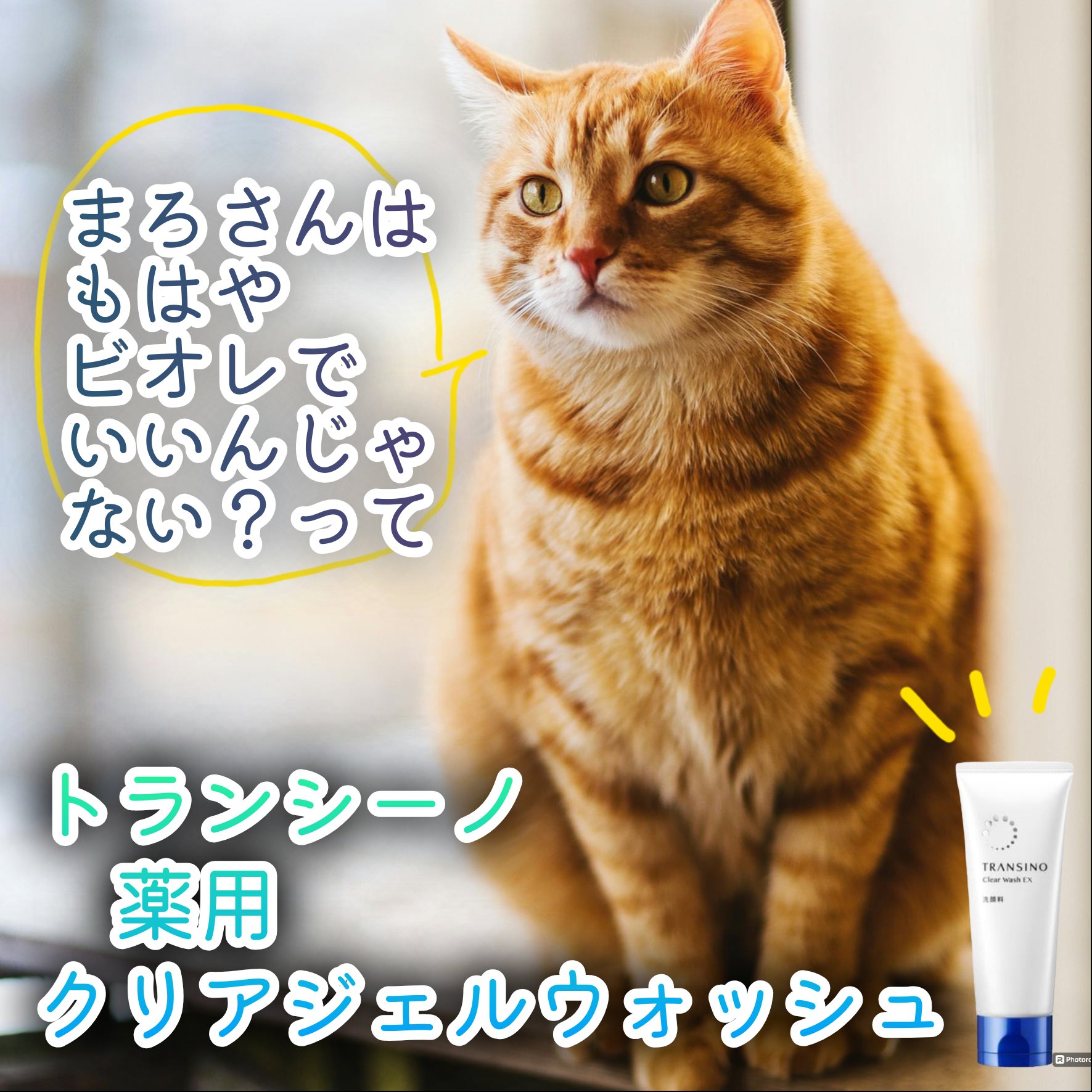 トランシーノ薬用クリアジェルウォッシュ/トランシーノ/その他洗顔料を使ったクチコミ（1枚目）