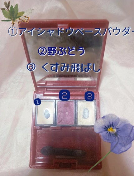 アイカラー/草花木果/単色アイシャドウを使ったクチコミ(3枚目)