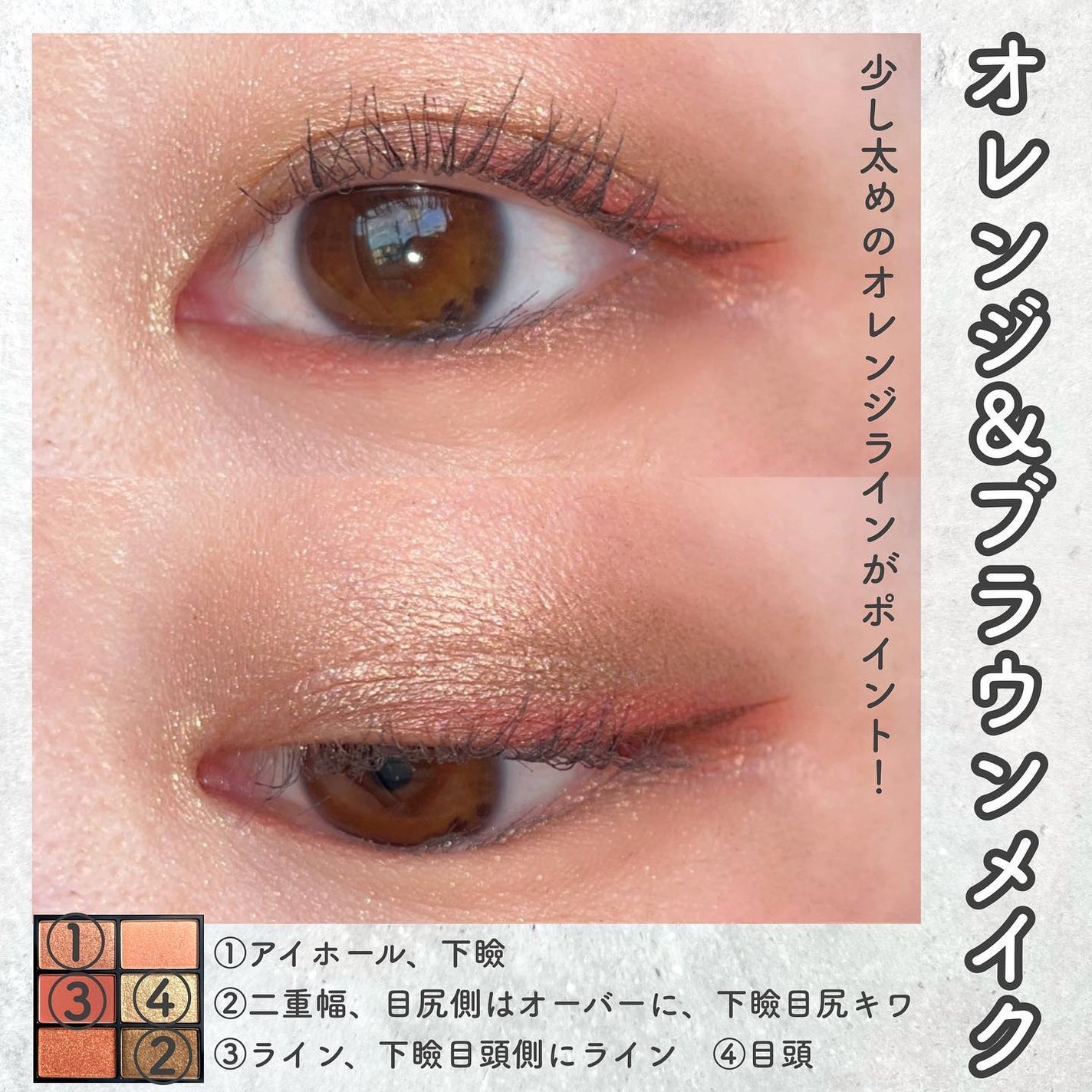 バタフライダガー アイシャドー パレット(限定)/shu uemura/アイシャドウパレットを使ったクチコミ(5枚目)