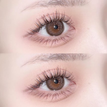 エッセンシャルアイパレット/BBIA/マルチパレットを使ったクチコミ(9枚目)