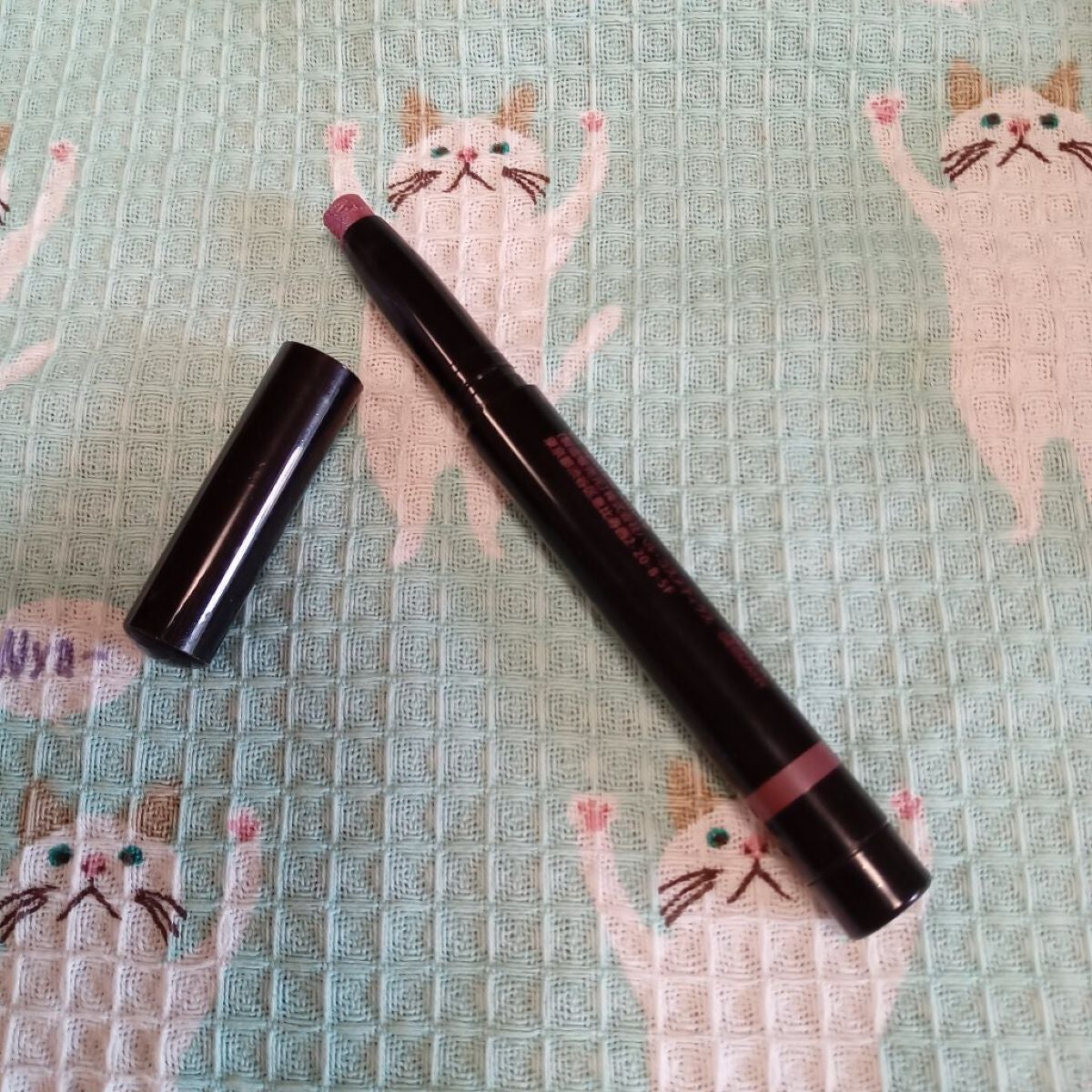 ウォータリースティックシャドウ/Witch's Pouch/スティックアイシャドウを使ったクチコミ(1枚目)