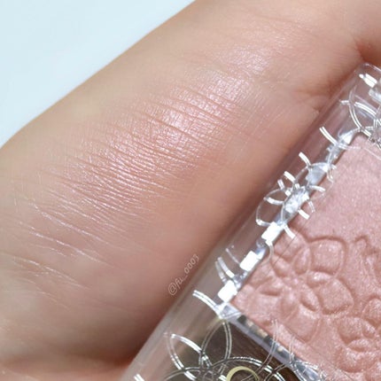 ブラウンメイクセット LIPSフェスタ Autumn 2022/LIPS/メイクアップキットを使ったクチコミ(4枚目)