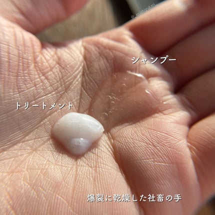 ヘアサプリ モイスチャライザー サプリジェルシャンプー/サプリトリートメント/LUX/市販シャンプーを使ったクチコミ(2枚目)