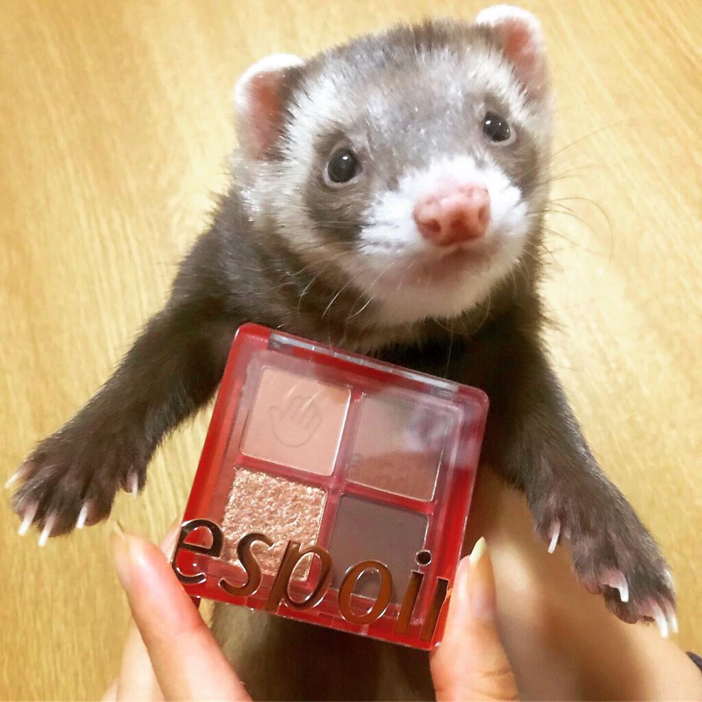 NEWリアルアイハンディパレット/espoir/アイシャドウパレットを使ったクチコミ（2枚目）