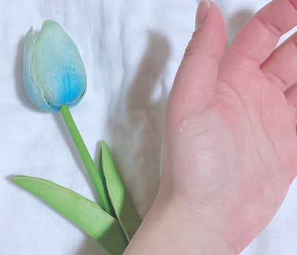 トランスルーセントパウダー/SRICHAND/ルースパウダーを使ったクチコミ(5枚目)