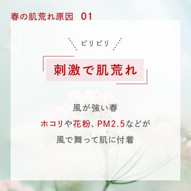 ネイチャーコンク 薬用クリアローションのクチコミ「＼春の肌はあれやすい／

【季節の肌悩み】
春に肌荒れしやすい理由

01｜ホコリ・花粉・PM.....」（2枚目）