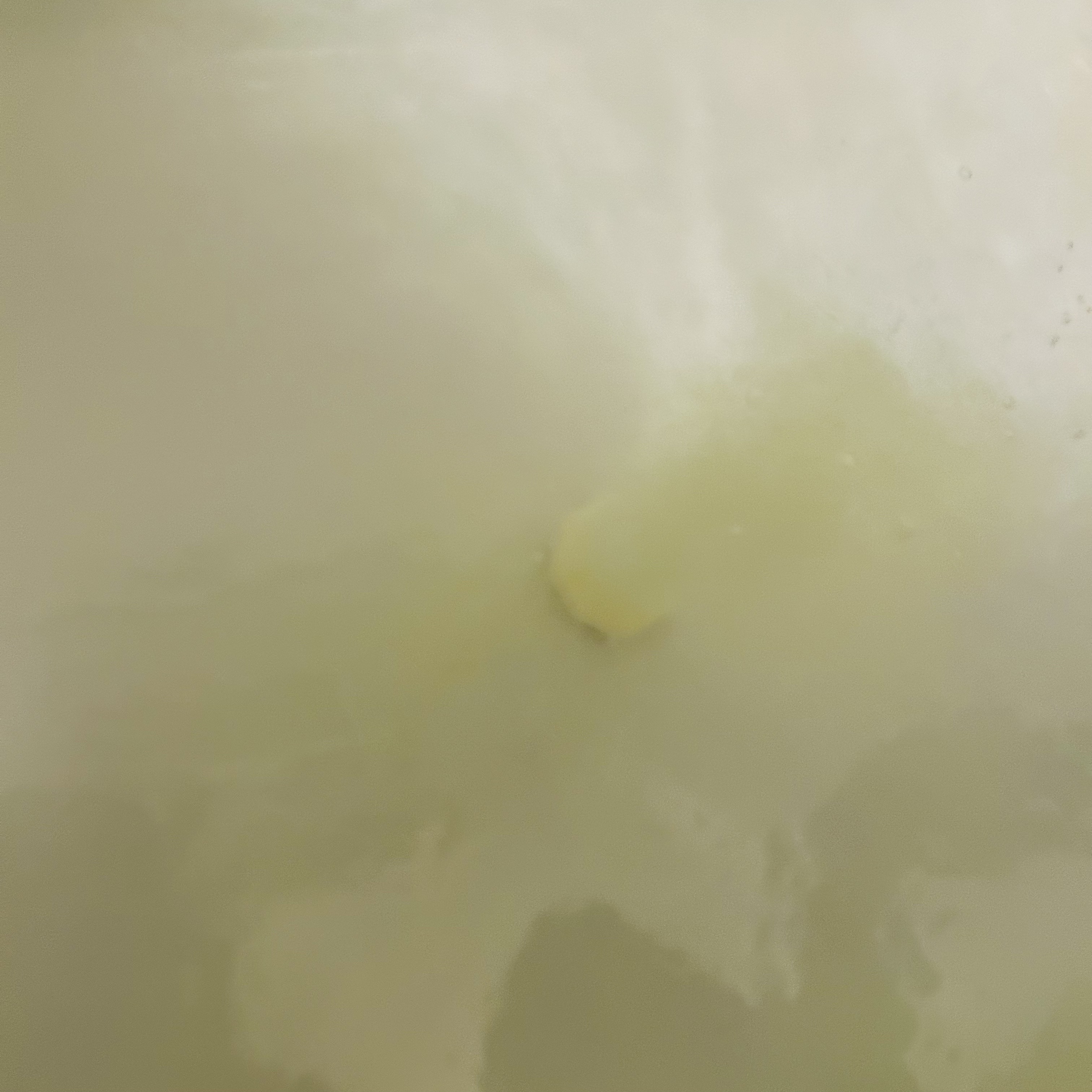 バブ モンスターバブルMEGA級 スプラッシュ泡 シトラススパークの香り​/バブ/炭酸系入浴剤を使ったクチコミ（3枚目）