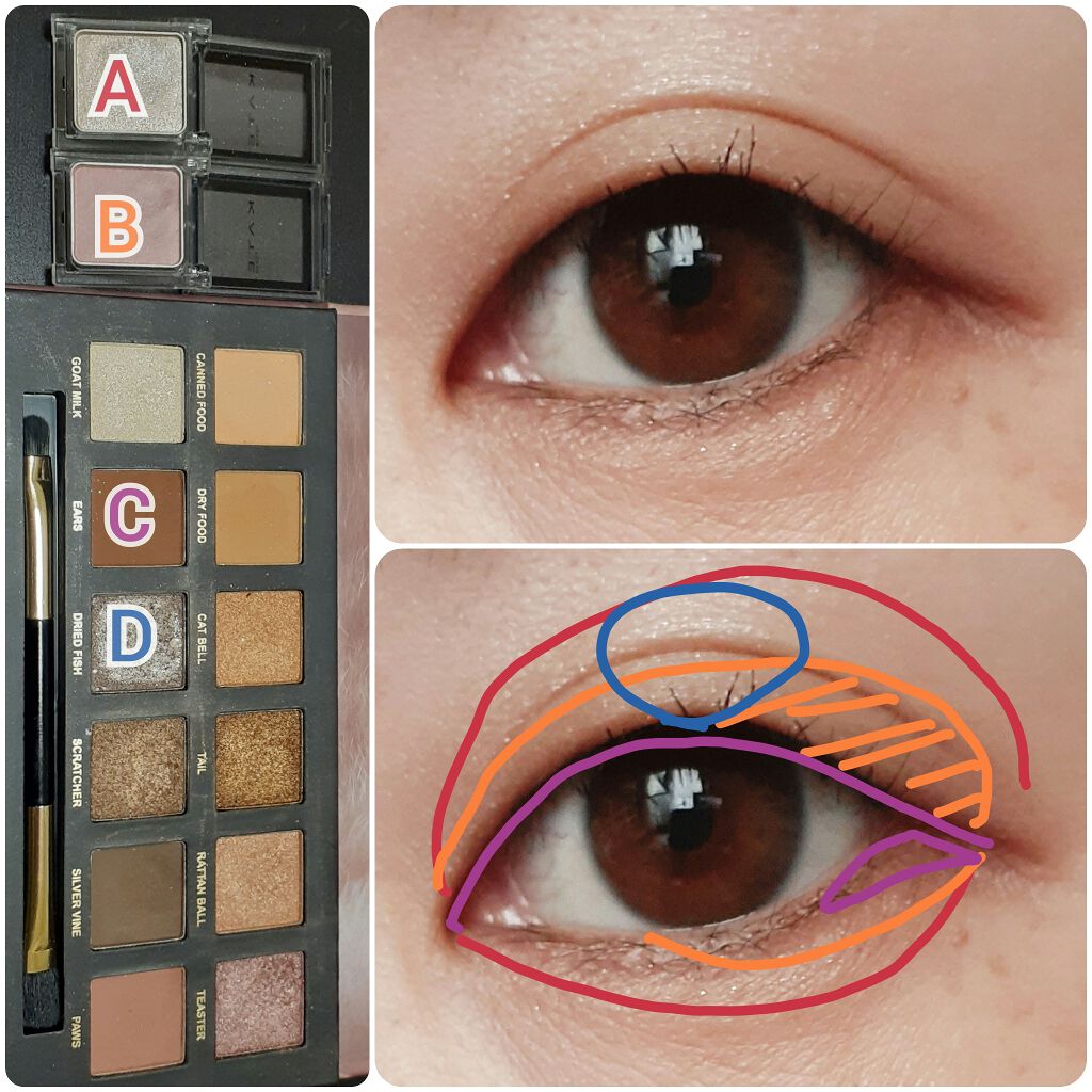 エクスプローラ12色 動物アイシャドウパレット/PERFECT DIARY/アイシャドウパレットを使ったクチコミ（2枚目）