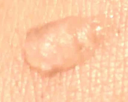 ポアプライマー/MAYBELLINE NEW YORK/化粧下地を使ったクチコミ(2枚目)