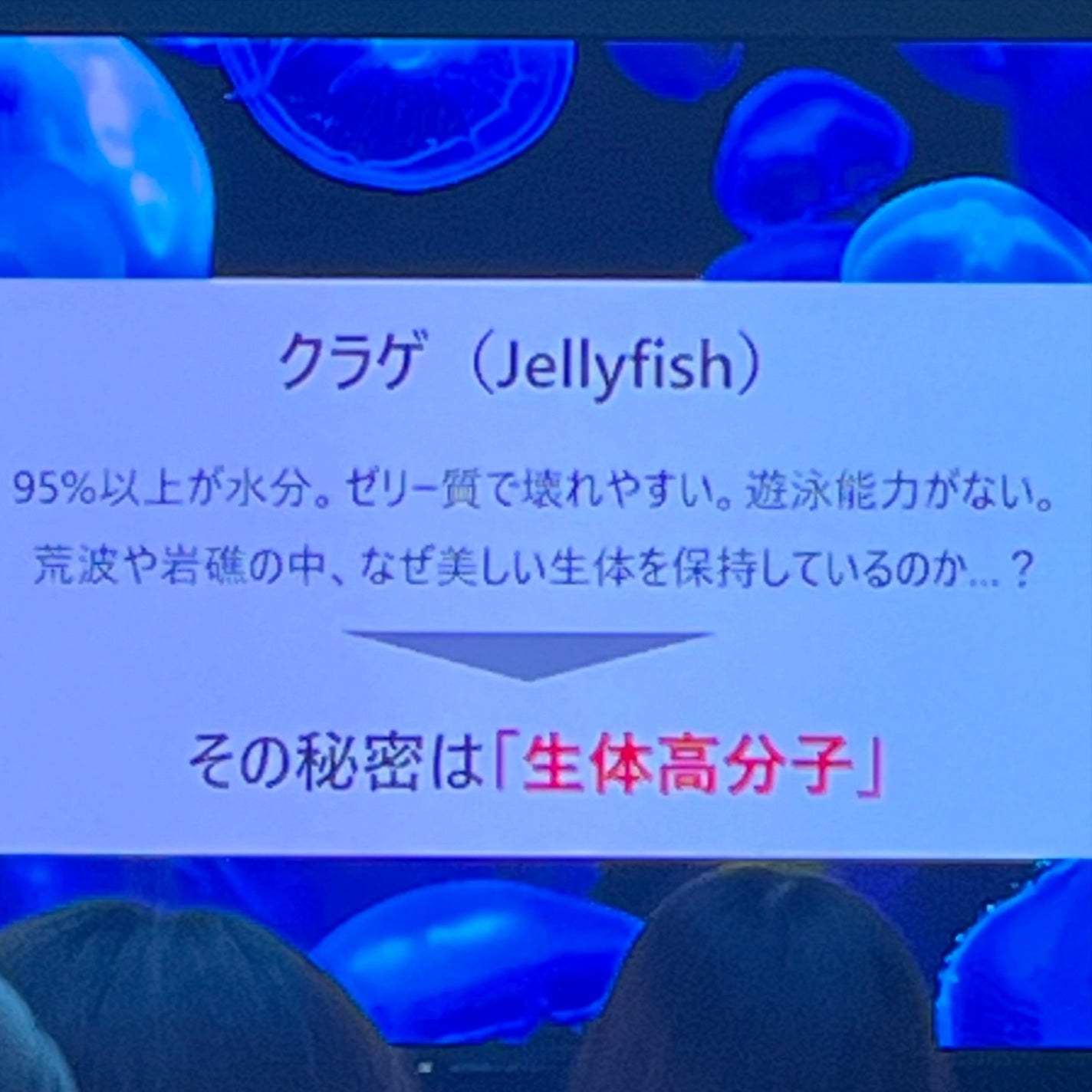 エスト ジェリオロジー プライマー M/est/化粧下地を使ったクチコミ(4枚目)