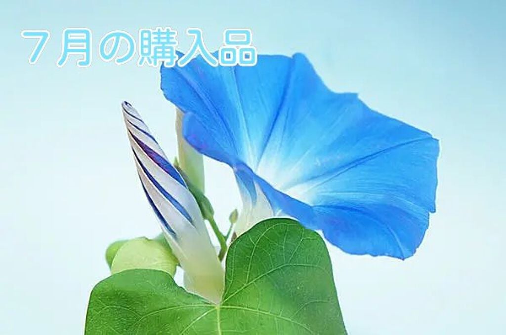 ザ・タイムR アクア/IPSA/化粧水を使ったクチコミ(1枚目)