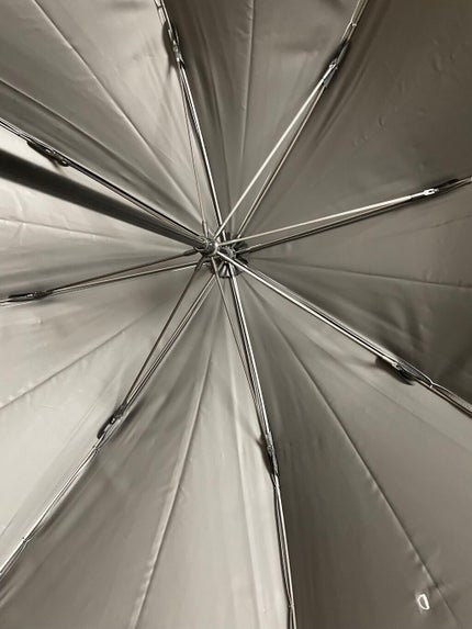 サンバリア100/サンバリア100/日傘を使ったクチコミ(3枚目)