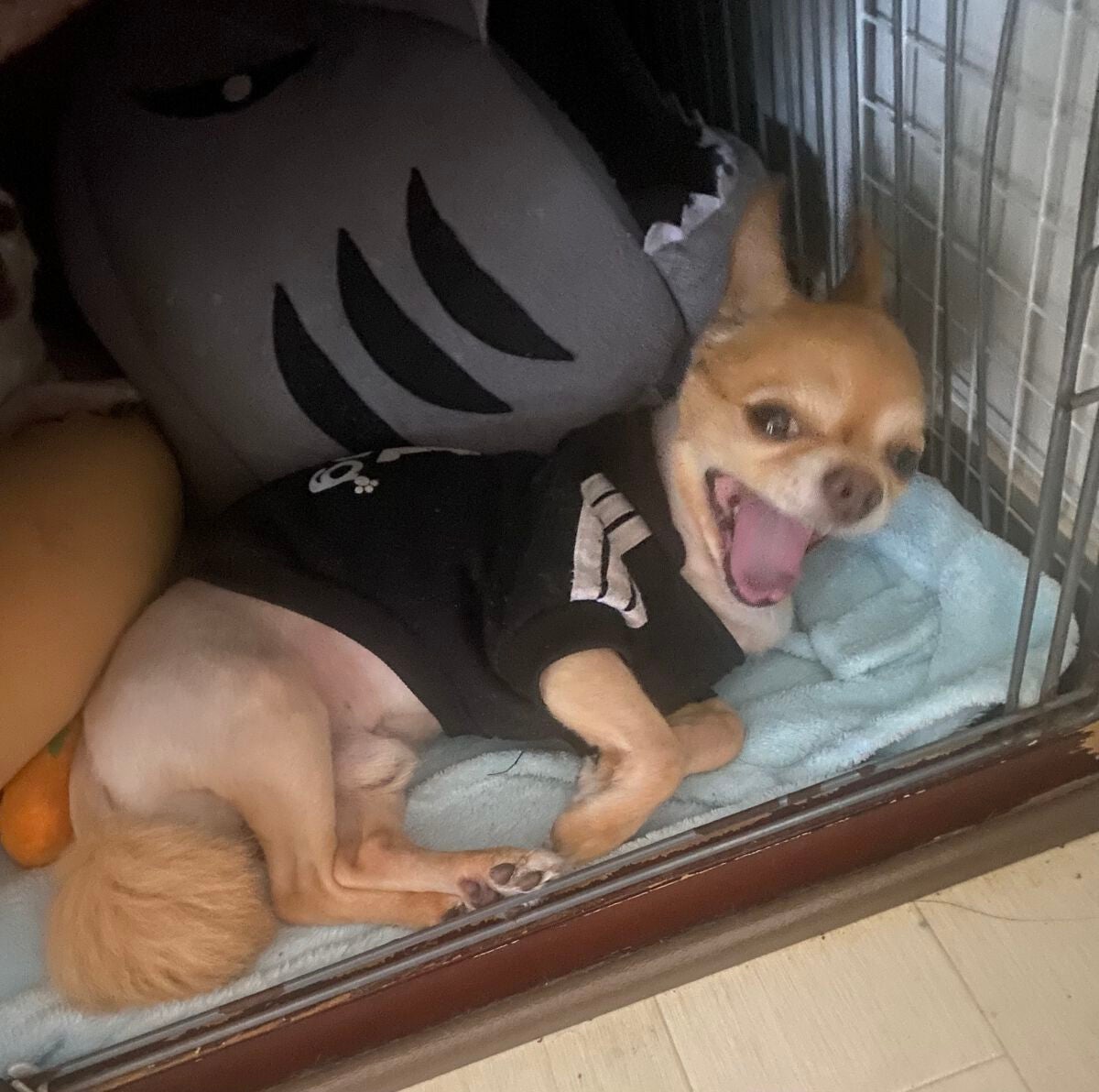 シルコットうるうるコットン ビタミンC PLUS+/シルコット/コットンを使ったクチコミ(8枚目)