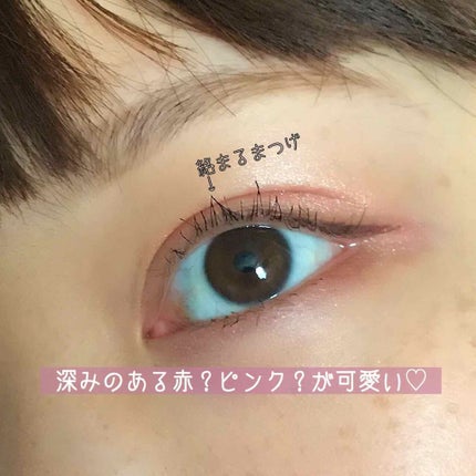 ヴィンテージモードアイズ/KATE/アイシャドウパレットを使ったクチコミ(2枚目)