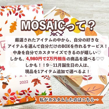 MOSAIC ボックス/MOSAIC/その他キットセットを使ったクチコミ（2枚目）