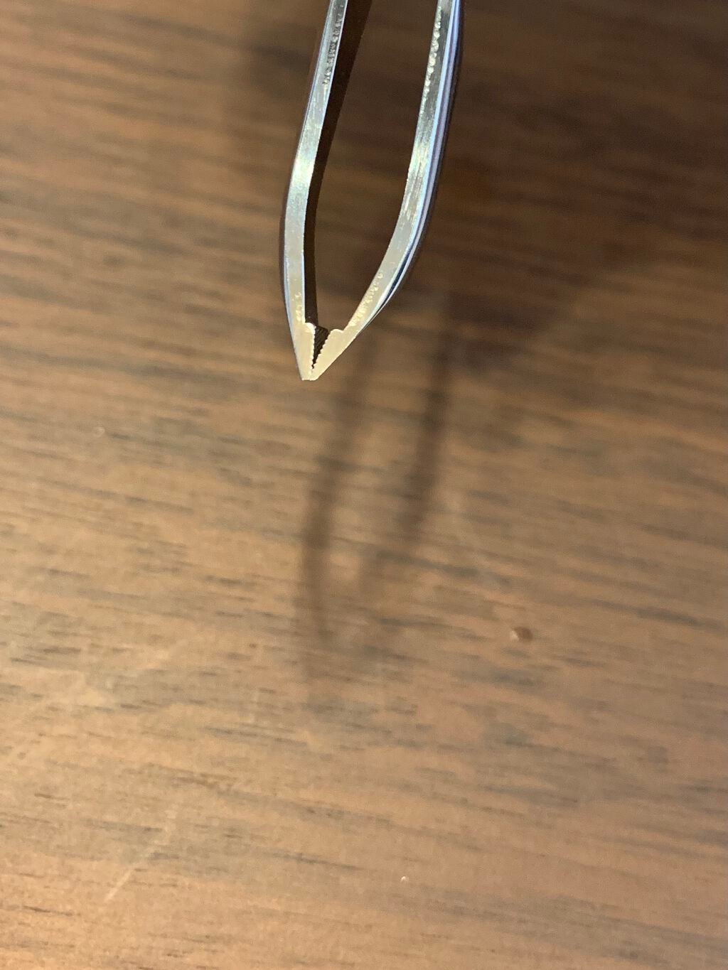 アイブローニッパーズ/ファイントゥデイ資生堂/毛抜きを使ったクチコミ(4枚目)