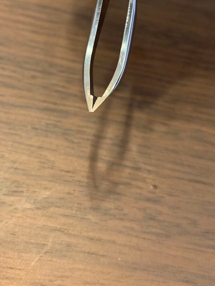 アイブローニッパーズ/ファイントゥデイ資生堂/毛抜きを使ったクチコミ(4枚目)