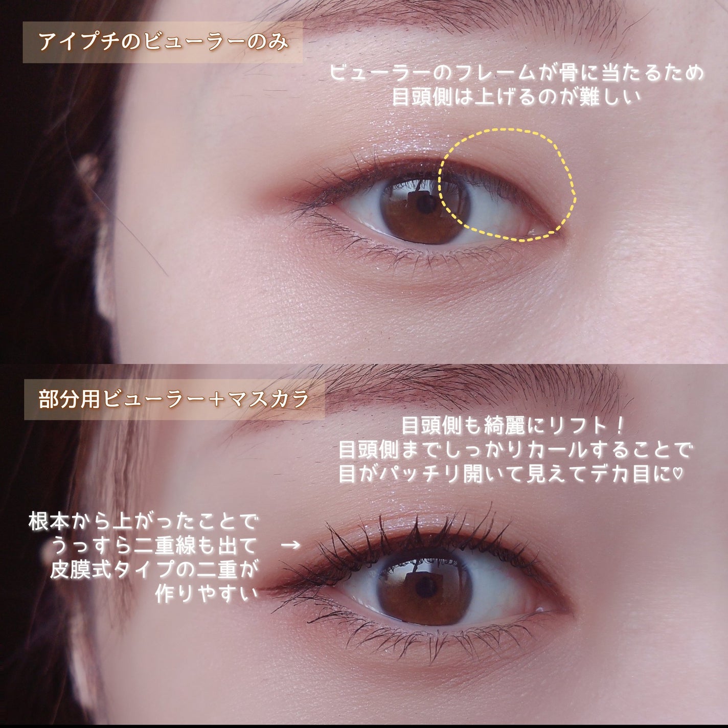 ミニアイラッシュカーラー/SHISEIDO/ビューラーを使ったクチコミ(5枚目)