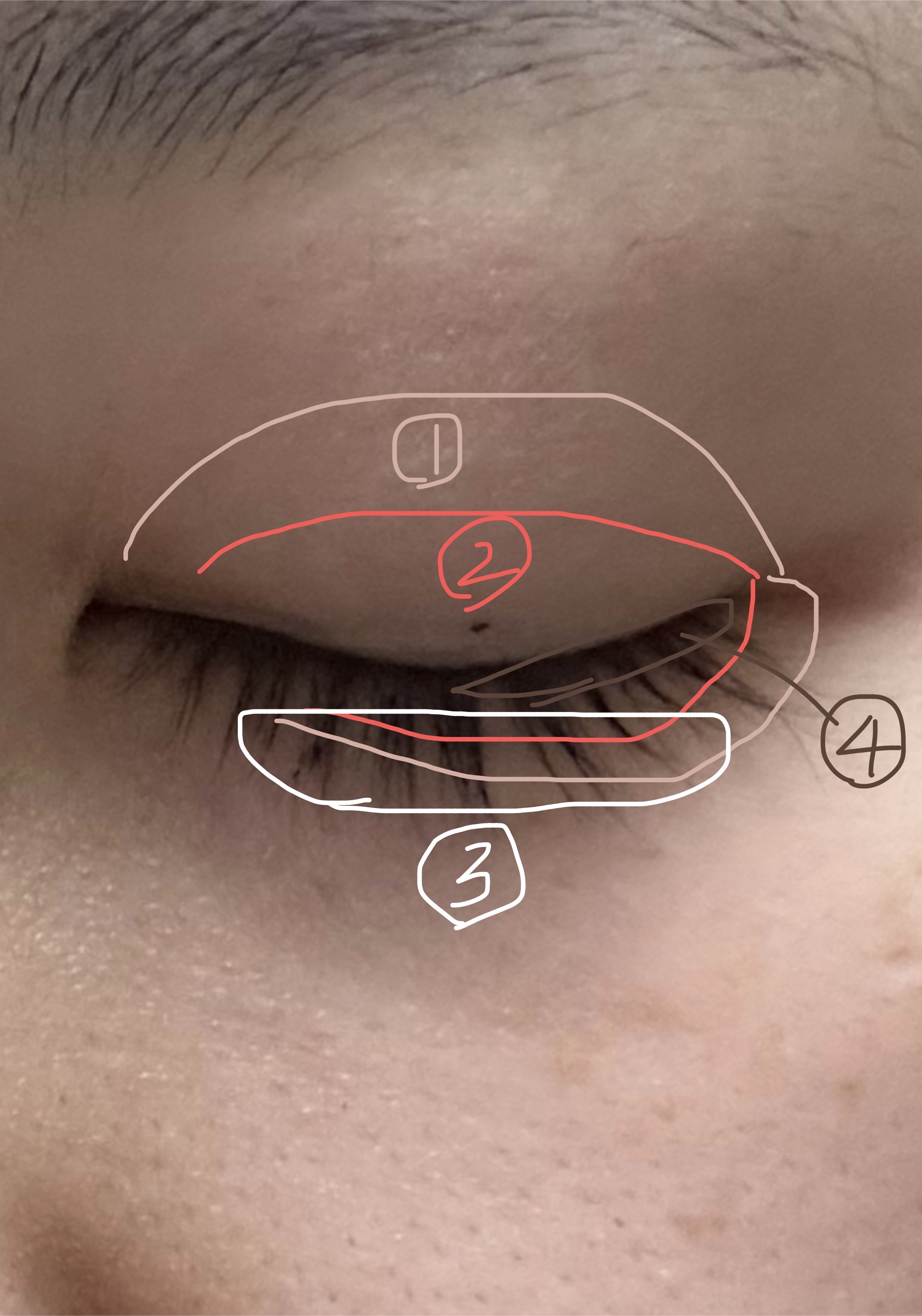 ベターザンアイズ/rom&nd/アイシャドウパレットを使ったクチコミ（3枚目）