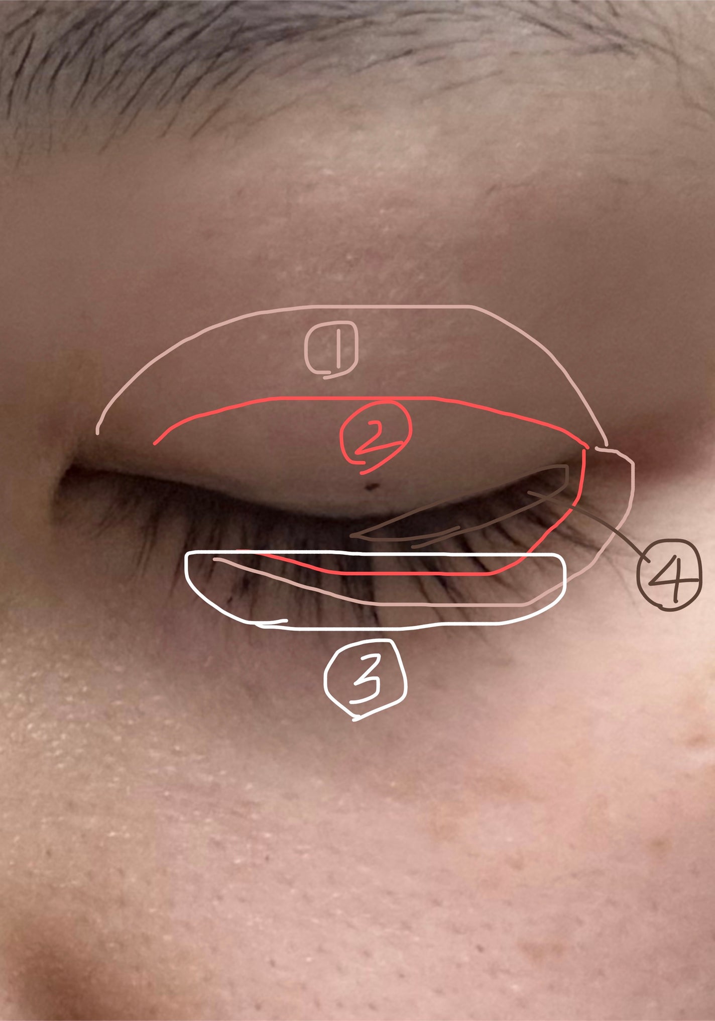 ベターザンアイズ/rom&nd/アイシャドウパレットを使ったクチコミ(3枚目)