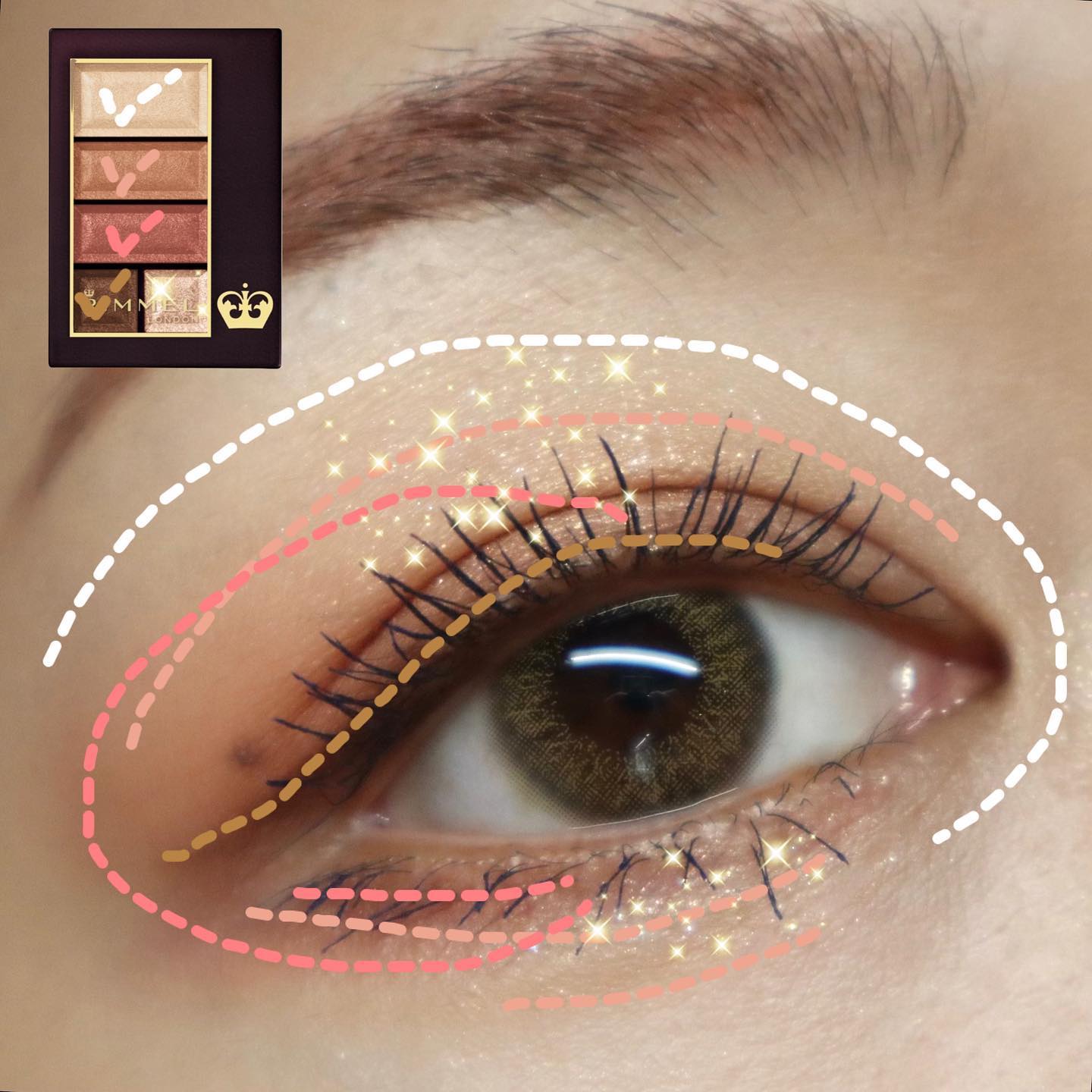 ショコラスウィート アイズ ソフトマット/リンメル ロンドン/アイシャドウパレットを使ったクチコミ（2枚目）