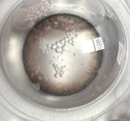 shiiiba77 on LIPS 「新しいカラコンを発掘したくてお試しサイズを大量に購入!使用感・..」(5枚目)