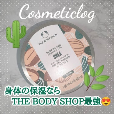 ボディバター シア/THE BODY SHOP/ボディクリームを使ったクチコミ（1枚目）