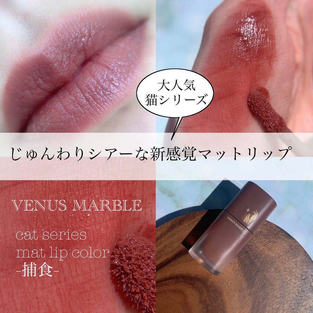 キャットシリーズマットリップカラー/Venus Marble/口紅を使ったクチコミ(1枚目)