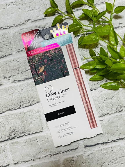ラブ・ライナー リキッドアイライナーR3/ラブ・ライナー/リキッドアイライナーを使ったクチコミ(3枚目)