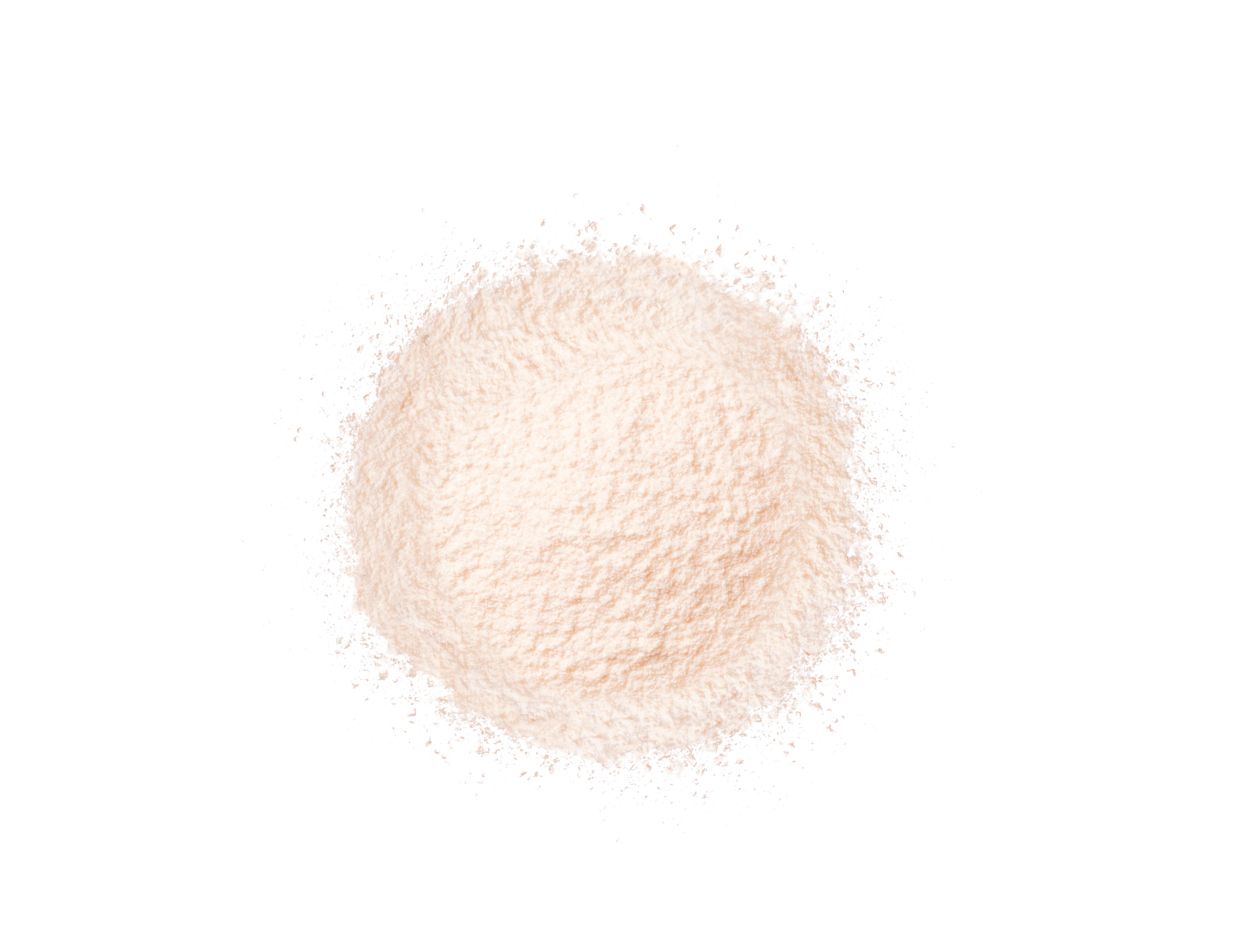 エテュセ スキンケアパウダー （ルース） ettusais