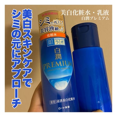 白潤プレミアム薬用浸透美白化粧水/肌ラボ/化粧水を使ったクチコミ（1枚目）