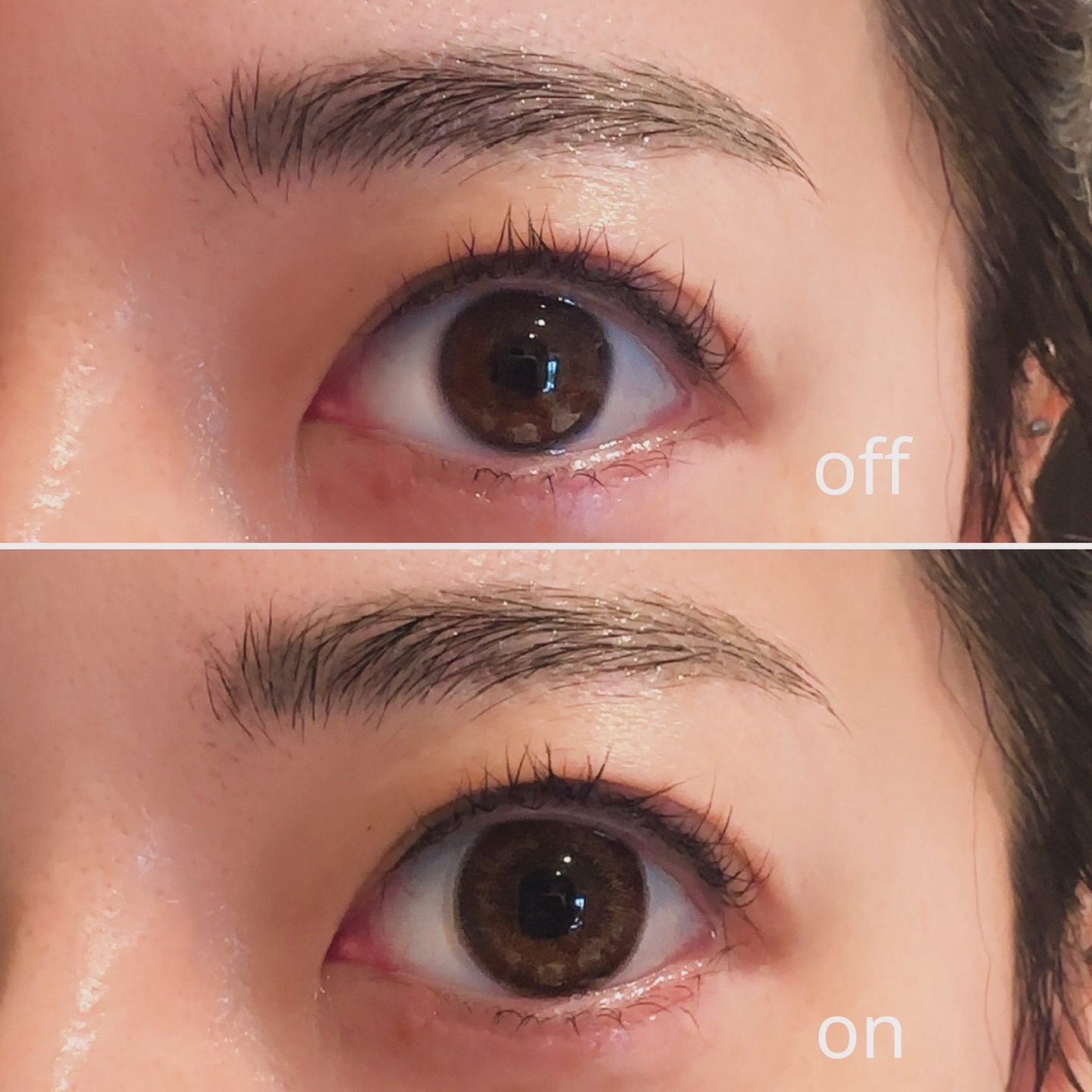 U.P.D. 1day ホログラムダリア/U.P.D./ワンデー（１DAY）カラコンを使ったクチコミ（2枚目）