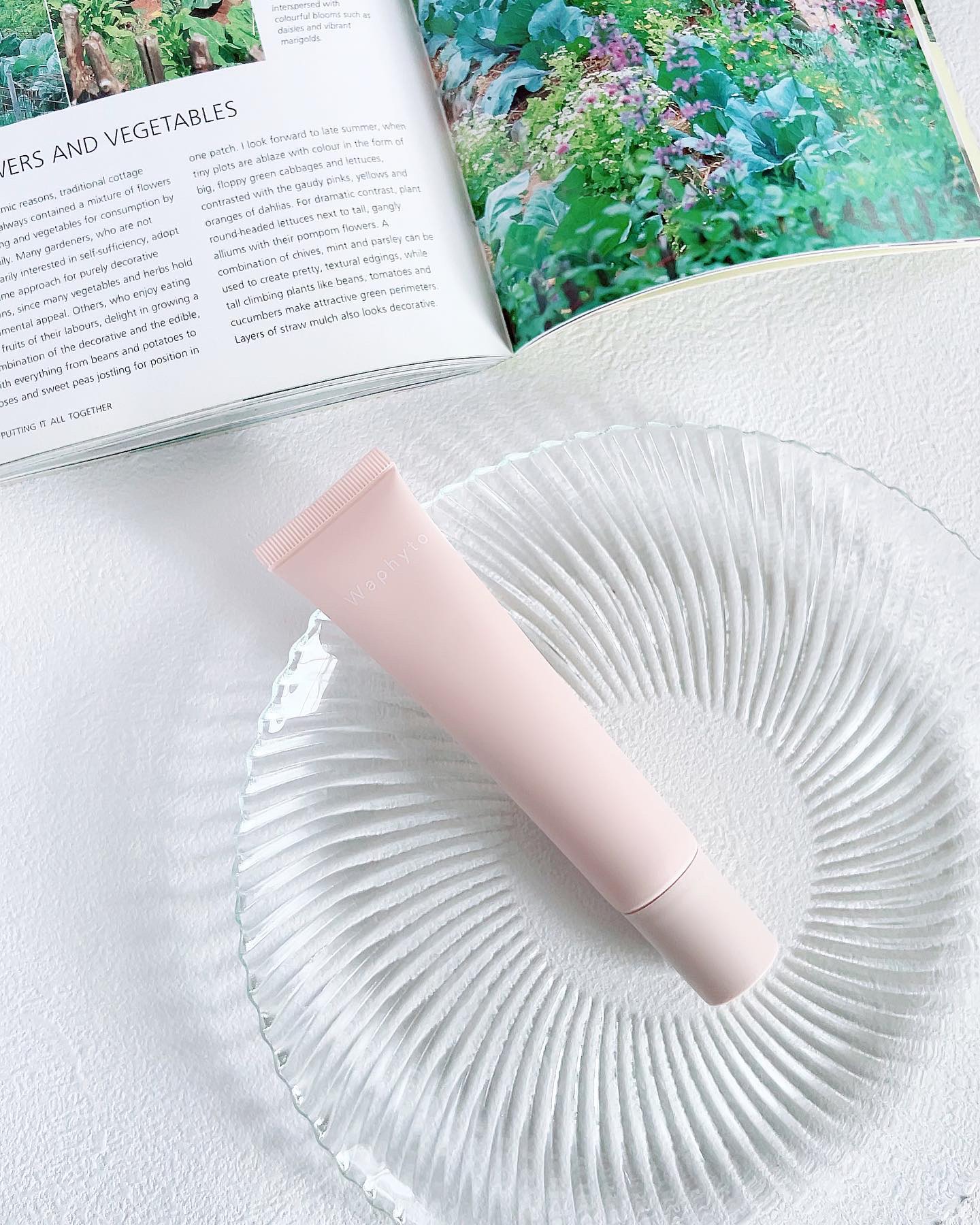 UVクリーム/Waphyto/日焼け止めクリームを使ったクチコミ（1枚目）