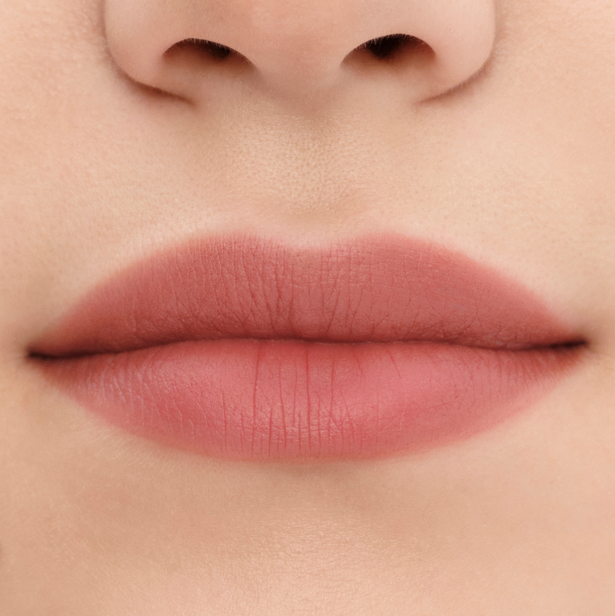 モノクローム ウェイトレス リップカラー(スムース ナイロン) B101 ティエポロ（ブラウンシリーズ）