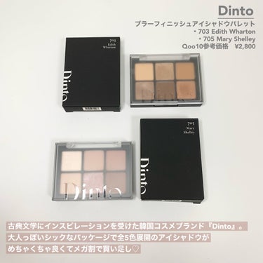 ブラーフィニシュシャドウパレット/Dinto/アイシャドウパレットを使ったクチコミ（2枚目）