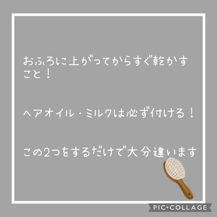 コンパクトスタイラー/TANGLE TEEZER/ヘアブラシを使ったクチコミ(3枚目)