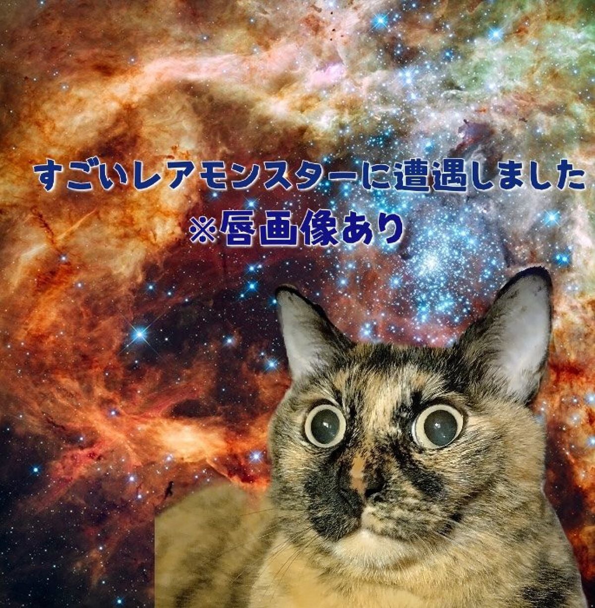 リップモンスター スフレマット/KATE/口紅を使ったクチコミ(1枚目)