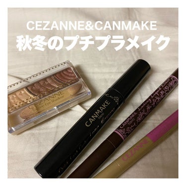 トーンアップアイシャドウ/CEZANNE/アイシャドウパレットを使ったクチコミ（1枚目）