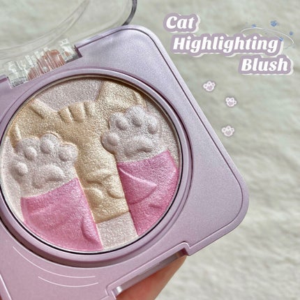 キャットハイライティングブラッシュ/ZEESEA/パウダーハイライトを使ったクチコミ(1枚目)