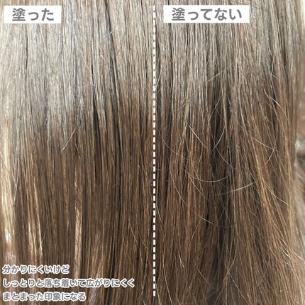 エルジューダ サントリートメントセラム/エルジューダ/ヘアオイルを使ったクチコミ(5枚目)