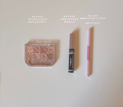 3wayスリムアイルージュライナー/キャンメイク/リキッドアイライナーを使ったクチコミ(2枚目)