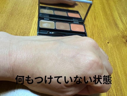 パレットアイブロウ/&be/パウダーアイブロウを使ったクチコミ(3枚目)