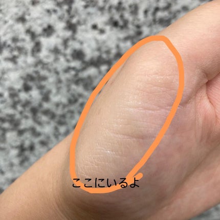 ル・レオスールデクラ /クレ・ド・ポー ボーテ/パウダーハイライトを使ったクチコミ(3枚目)