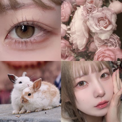 ベージュトーンアイシャドウ/CEZANNE/アイシャドウパレットを使ったクチコミ(5枚目)