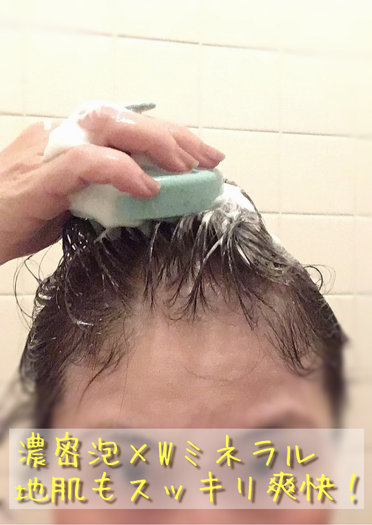 ハーバニエンス　炭酸ヘッドスパシャンプー_バニスパ/HERBANIENCE/市販シャンプーを使ったクチコミ（1枚目）