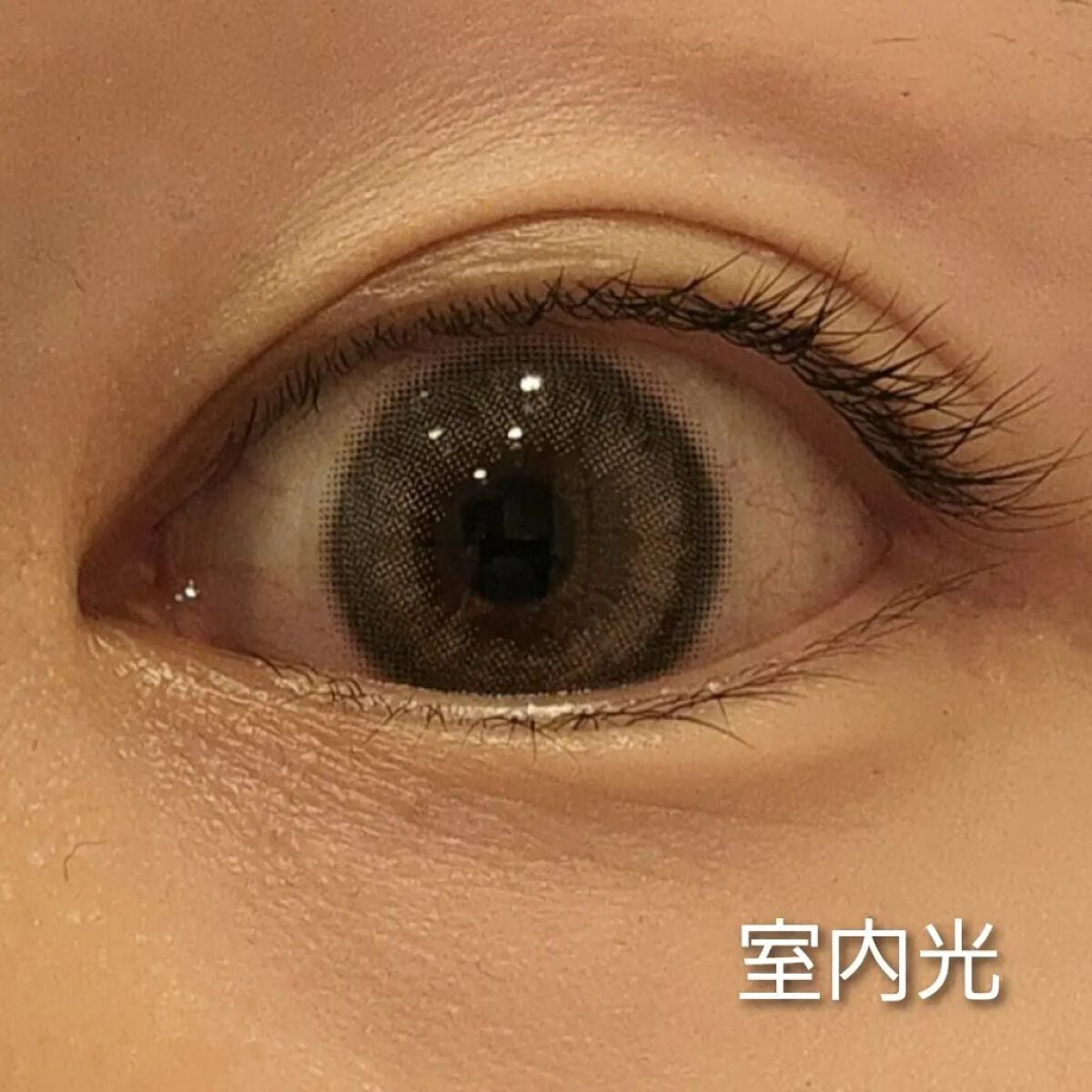 MOLAK 1day/MOLAK/ワンデー(1DAY)カラコンを使ったクチコミ(3枚目)