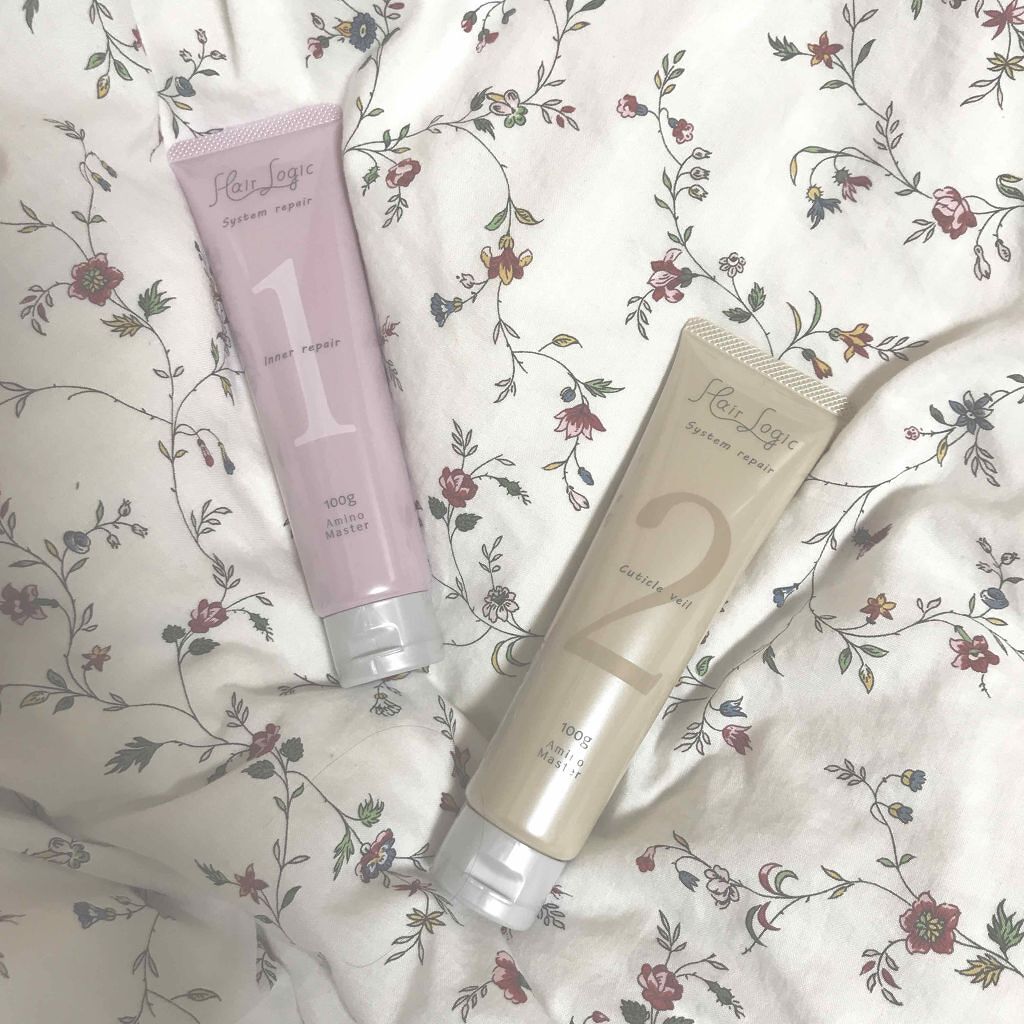 システムリペア なめらかモイスト / Hair Logic