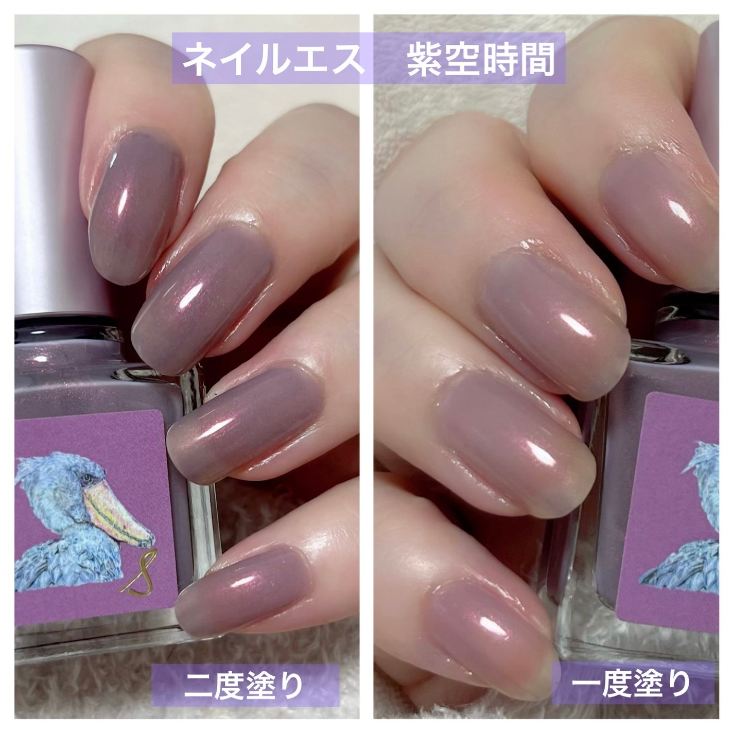 ネイルエス/ nail S(ネイルエス) /マニキュアを使ったクチコミ(1枚目)