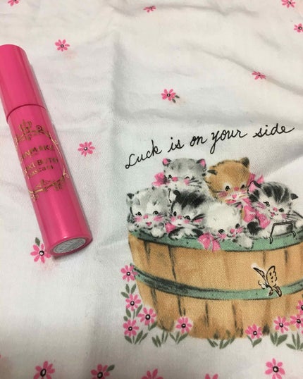 【旧品】パウダーチークス/キャンメイク/パウダーチークを使ったクチコミ(2枚目)