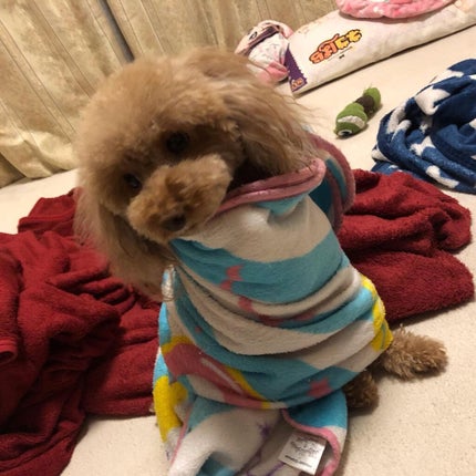 榎本みか on LIPS 「みんなもふもふで可愛い😍#オールインワン#オールインワンジェル..」(6枚目)